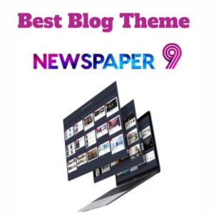 Buy Premium Newspaper WordPress Theme-pluginthemeit