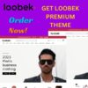 Get loobek Premium wordpress theme-pluginthemeit