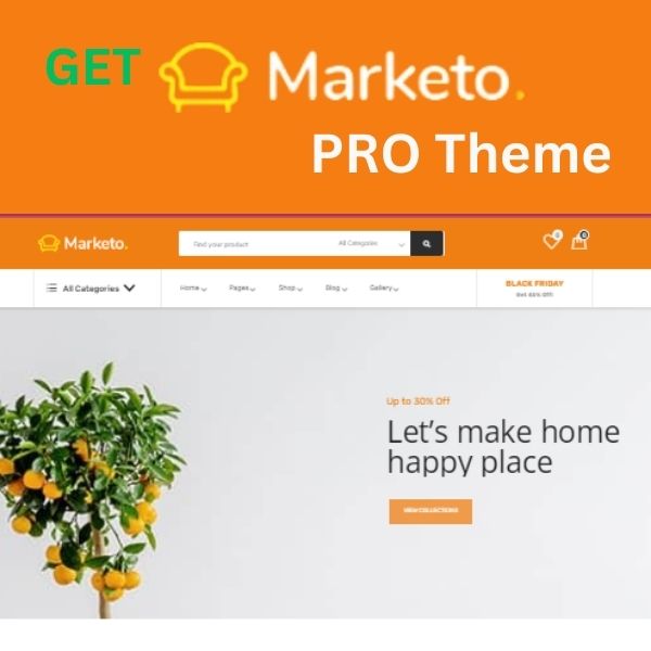 Get marketo Pro theme