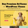 Buy Premium BeTheme – WordPress Theme